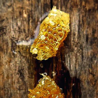 miel bee pure 1.JPG