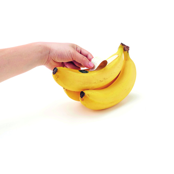 shiawase_banana02_akihiro_yoshida.JPG